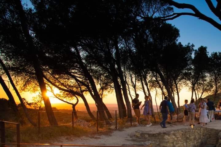 Location Gite En Provence Beaucaire  Eksteriør billede